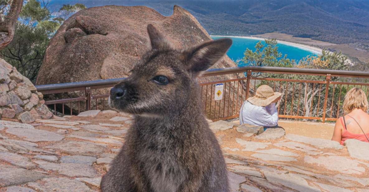 Hobart: Wineglass Bay, Freycinet Park, and Richmond Tour - Common questions