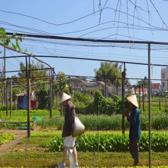 Hoi An Countryside Tour by Bicycle - Engage in Fishing Activities