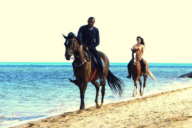 Horse Riding Tour 2 Hours Sea and Desert With Transfer - Hurghada - Booking Instructions