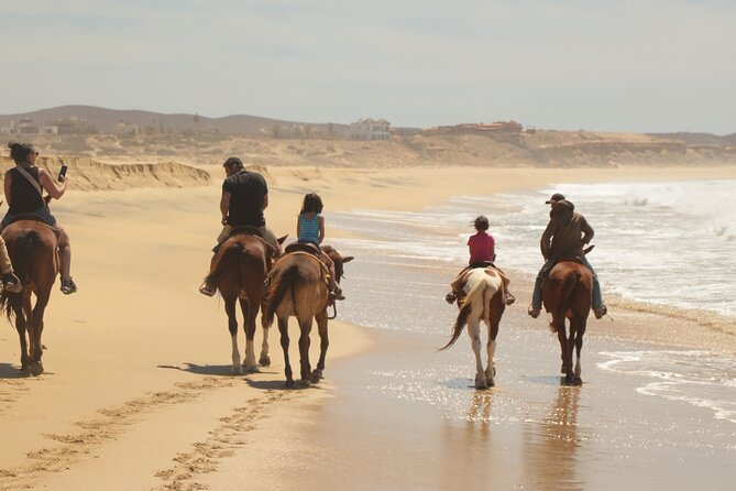 Horseback Riding Tour in Cabo San Lucas - Contact Information