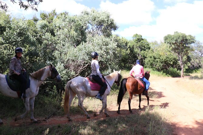 Horseback Safari Adventure in Hartbeespoort From Johannesburg - Last Words