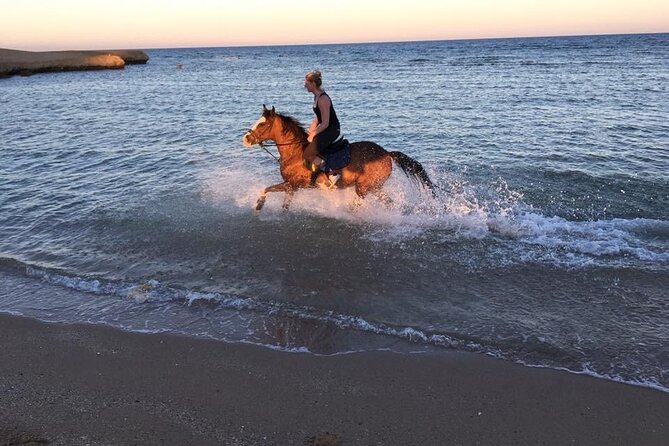 Hurghada: 2 Hours Camel and Horse Riding Adventure on The Sea. - Last Words