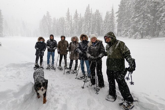 Introductory Snowshoe Shared Experience - Common questions