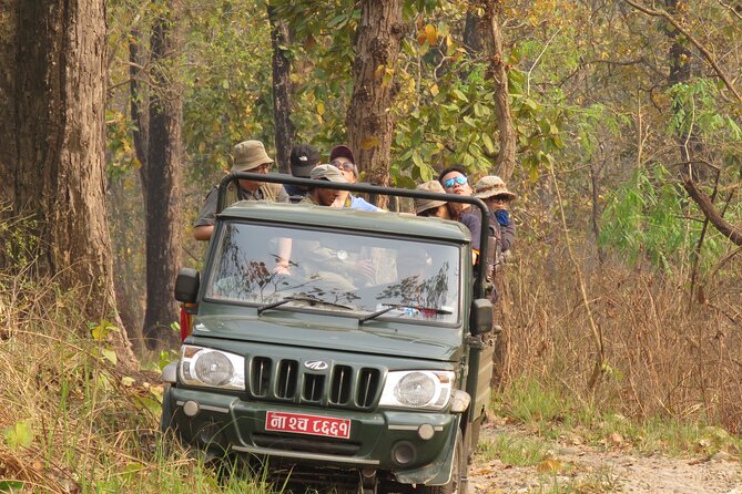 Jeep Safari ( Inside Chitwan National Park, 8-10 Hrs.).