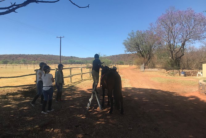 Johannesburg Private Horseback Riding Safari  - Pretoria - Last Words