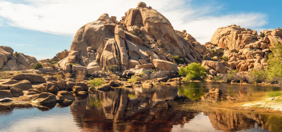 Joshua Tree National Park: Self-Guided Driving Tour - Last Words