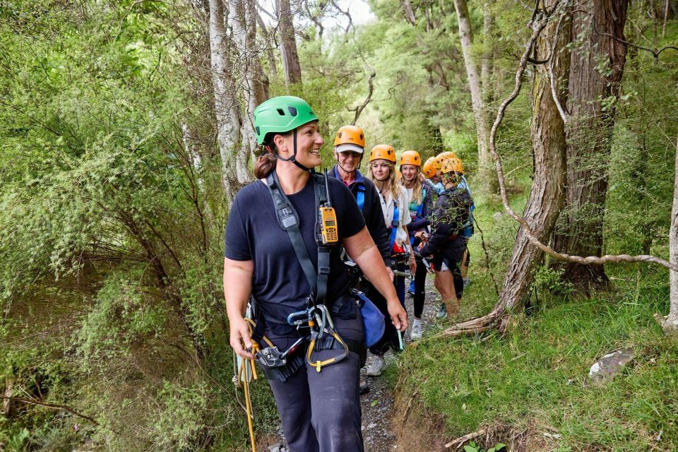 Kaikōura: Zipline and Native Forest Adventure Trip - Background