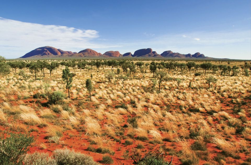 Kata Tjuta Sunrise & Valley of the Winds Tour + Breakfast - Last Words