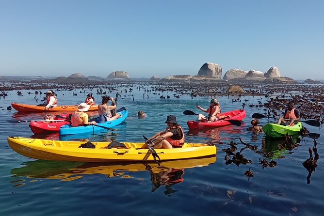 Kayak Adventure at Clifton Beach - Traveler Experience