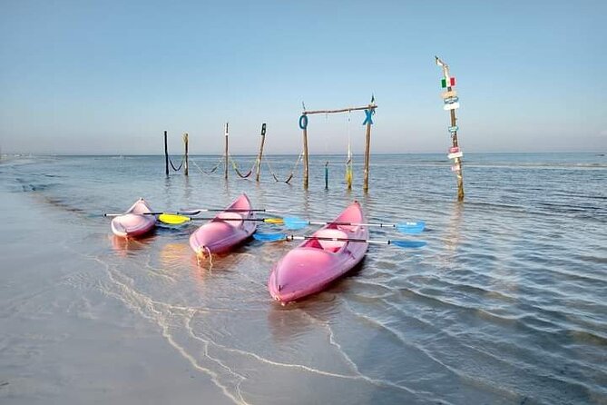 Kayak Experience in the Mangroves of Holbox Island - Weather Considerations and Refunds