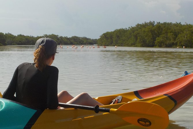 Kayaking Tour Through the Mangroves in Isla Holbox - Last Words