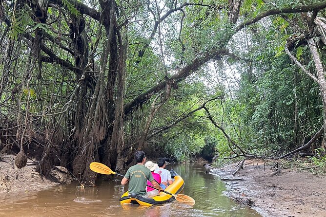 Khao Lak Elephant Sanctuary Visit and Mangrove Kayak Tour - Acknowledgment and Compliance