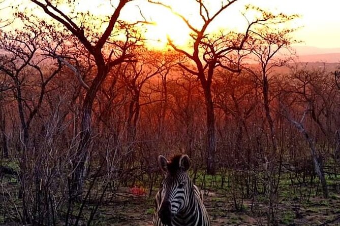 Kruger National Park Best Tour - Common questions