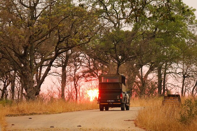 Kruger National Park Full Day Private Safari - Last Words