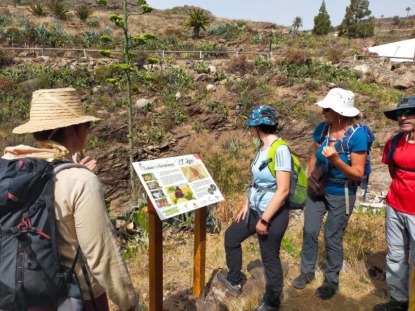 La Gomera: Flower Guided Tour With Butterflies and Bees - Directions and Meeting Point