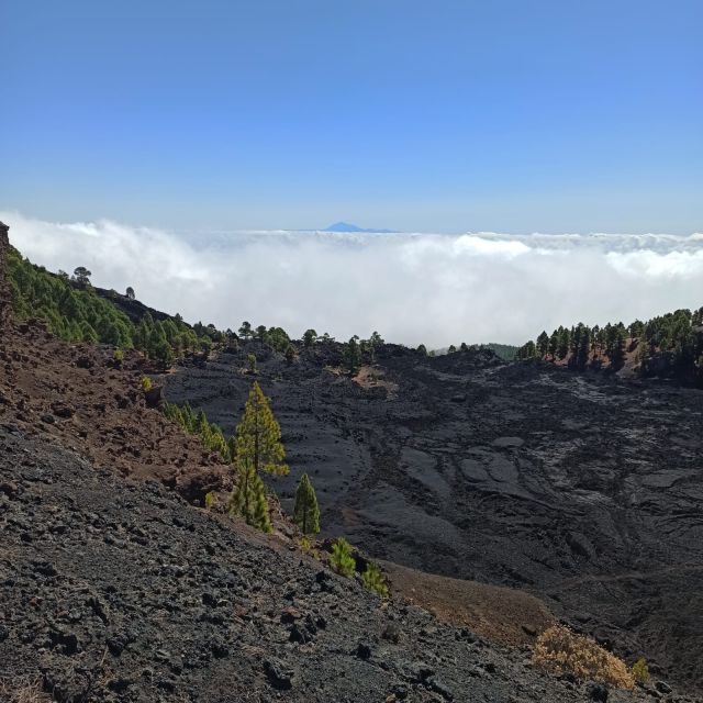 La Palma: Guided Trekking Tour to Volcanoes South - Last Words