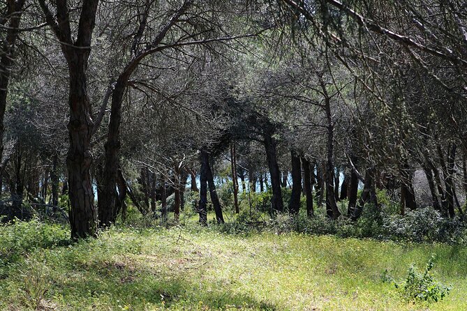 Lagos Small-Group Algarve Nature Tour - Common questions