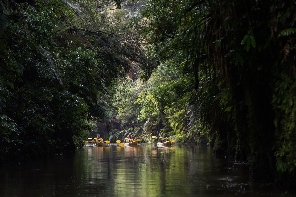 Lake Karapiro: Evening Kayak Glowworm Tour - Common questions