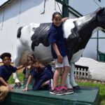 7 lancaster county amish farmlands museum tour farm visit Lancaster County: Amish Farmlands, Museum Tour, Farm Visit