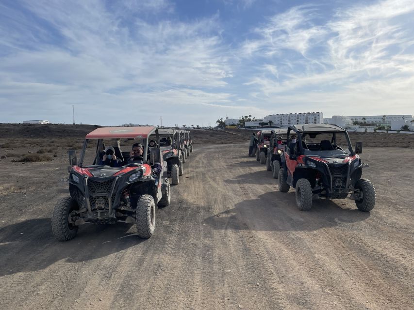 Lanzarote: Guided Can-Am Trail Buggy Tour - Customer Experience Insights