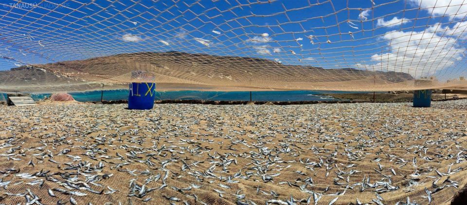 Lanzarote: Return Ferry to La Graciosa With Bus Pickup - Booking and Cancellation Process