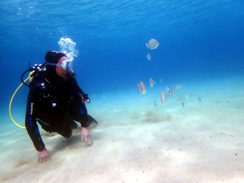 Lanzarote: Small Group Beginner Dive Course Costa Teguise - Last Words