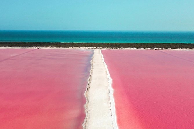 Las Coloradas Pink Lake With Ría Lagartos Boat Trip and Meals  - Cancun - Last Words