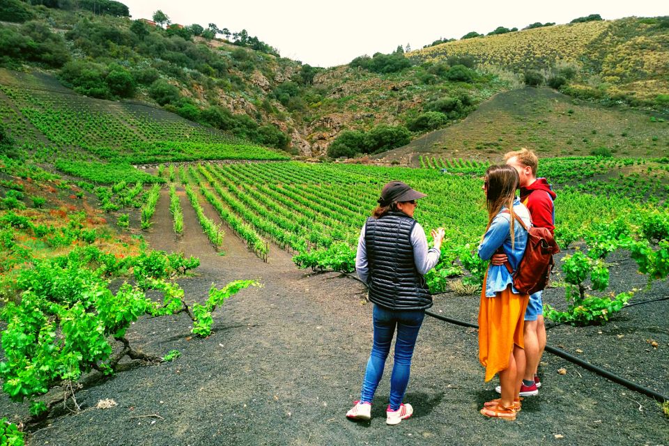 Las Palmas: Gran Canaria's Best Wineries and Views Tour - Directions