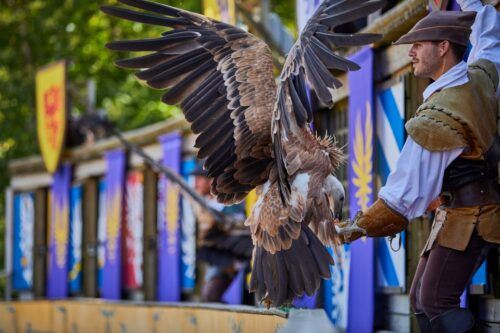 Les Epesses: Puy Du Fou Theme Park 1-Day Entry Ticket - Common questions