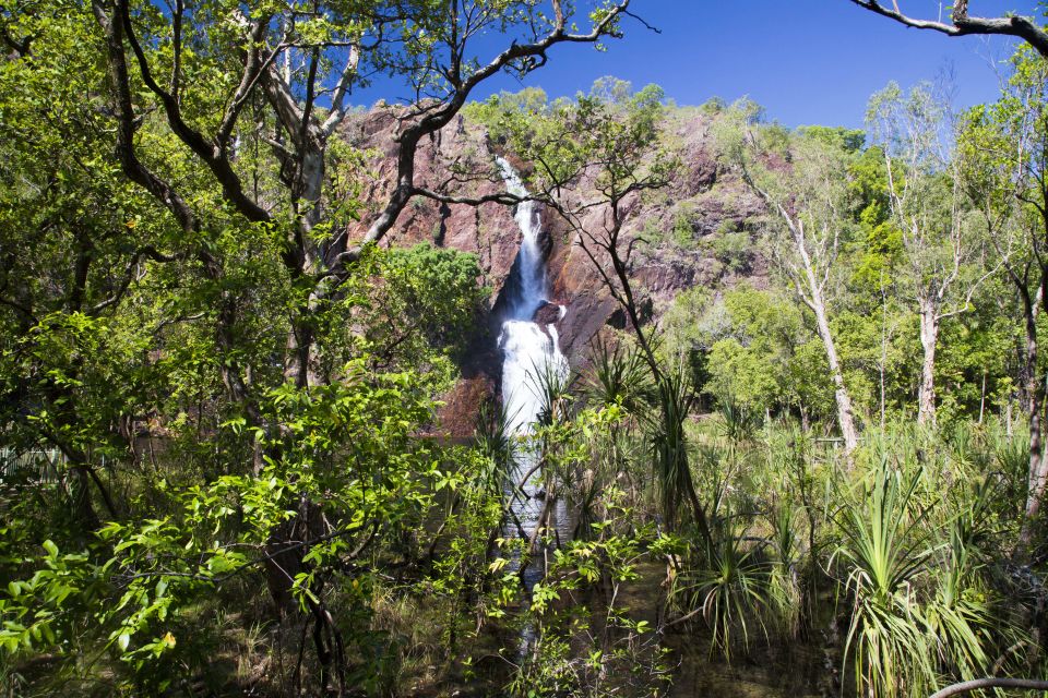 Litchfield National Park: Full-Day & Lunch From Darwin - Common questions