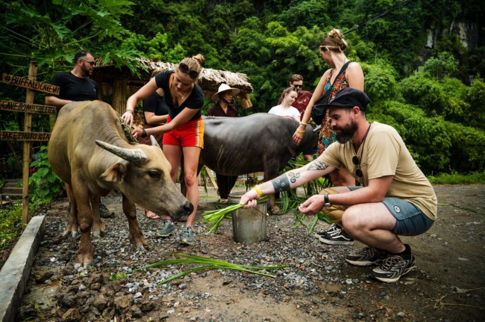 Local Farmer Riding Buffalo - Hoa Lu - Tam Coc Boating Tour - Directions