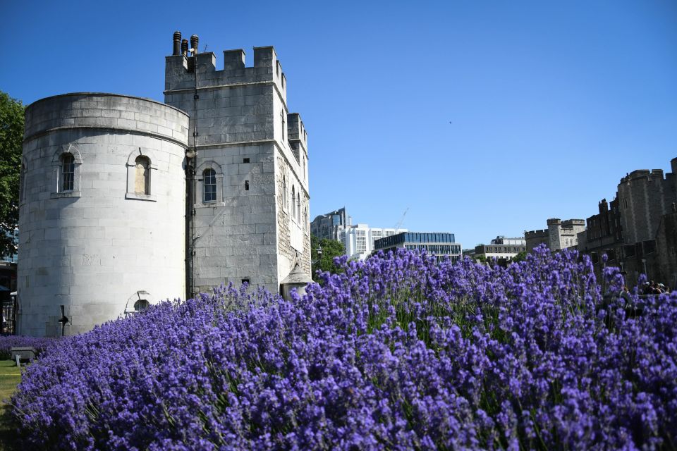 London: Top 15 Sights Walking Tour and Tower of London Entry - Shakespeares Globe Theater