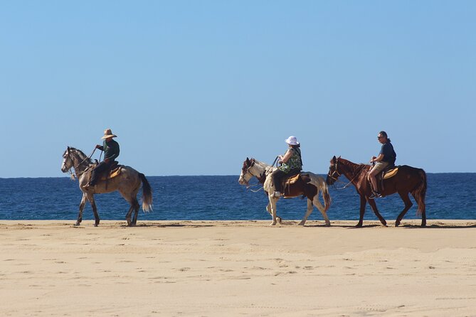 Los Cabos ATV and Pacific Horseback Riding Combo Tour - Common questions