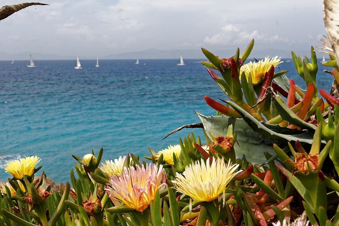 Lovely Nature and Inspiring Heritage - Rhodes Walking Tour for Families - Common questions