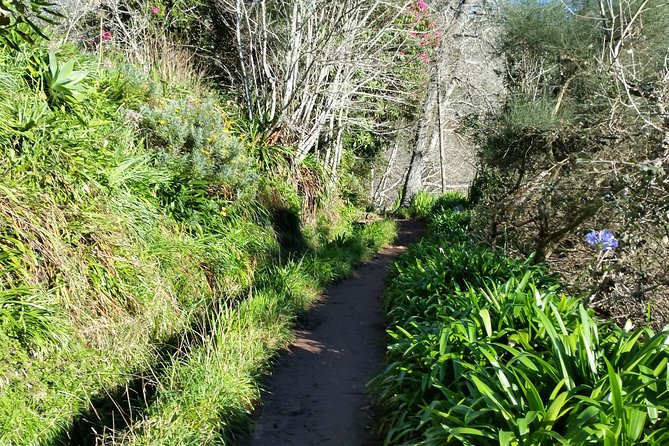 Madeira Vale Do Paraíso Day Walking Tour - Common questions