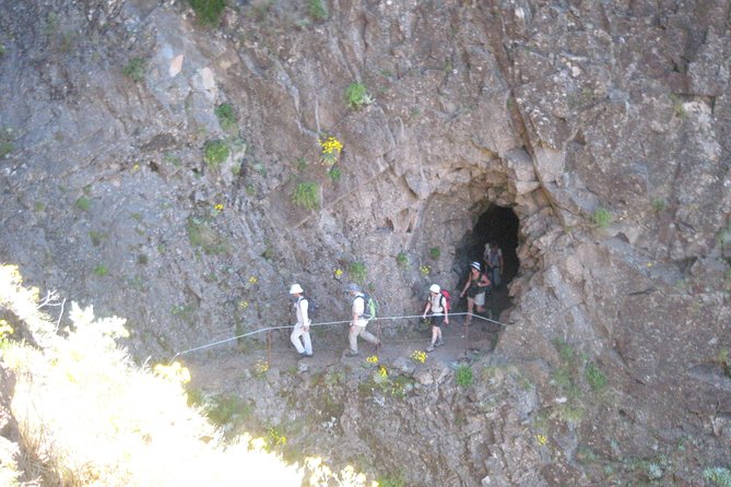 Madeiras Highest Peaks - AchadasTeixeira - Pico Ruivo - Arieiro (Full Day Walk) - Contact Information for Inquiries