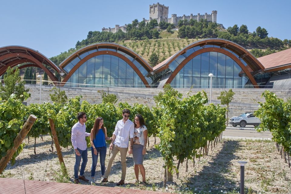 Madrid: Ribera Del Duero & Rueda Red and White Wine Tour - Additional Attractions