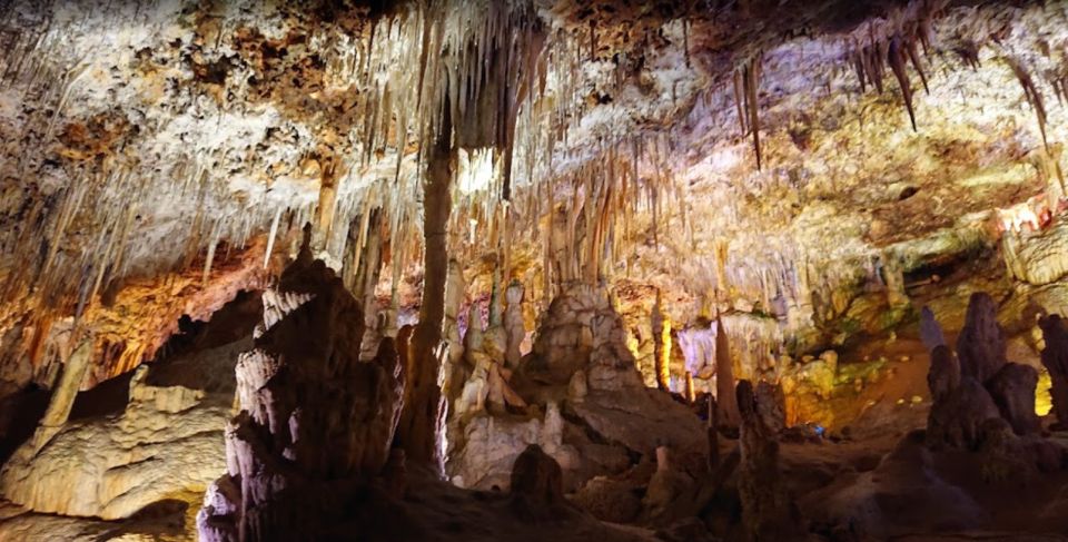 Mallorca: Day Trip to Caves of Hams & Optional Dinosaurland - Last Words