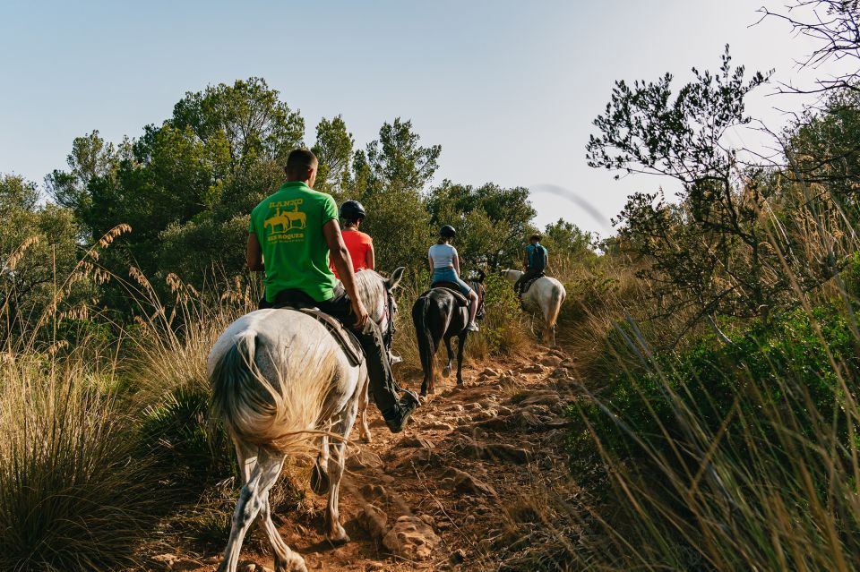 Mallorca: Mountain Horse Riding Experience W/ Brunch Option - Common questions