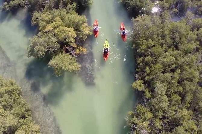 Mangroves Kayaking With Pickup & Drop off - Last Words