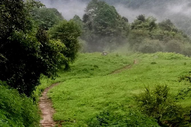 Mardi Himal Trekking - 10 Days - Day 6: High Camp to Mardi Himal Base Camp