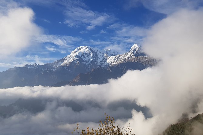 Mardi Himal Trekking - Common questions