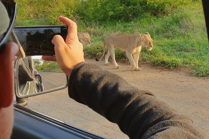 Marloth Park Small-Group Full-Day Kruger Safari  - Mpumalanga - Last Words