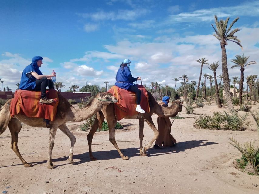 Marrakech: Camel Ride in the Palm Grove - Sunset Recommendation