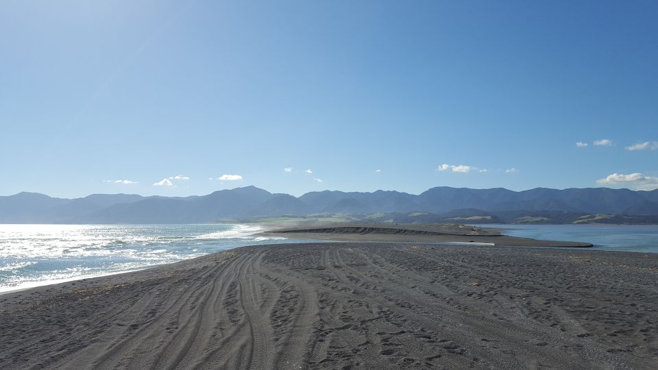 Martinborough Winery and South Wairarapa Wild Coast Tour - Last Words