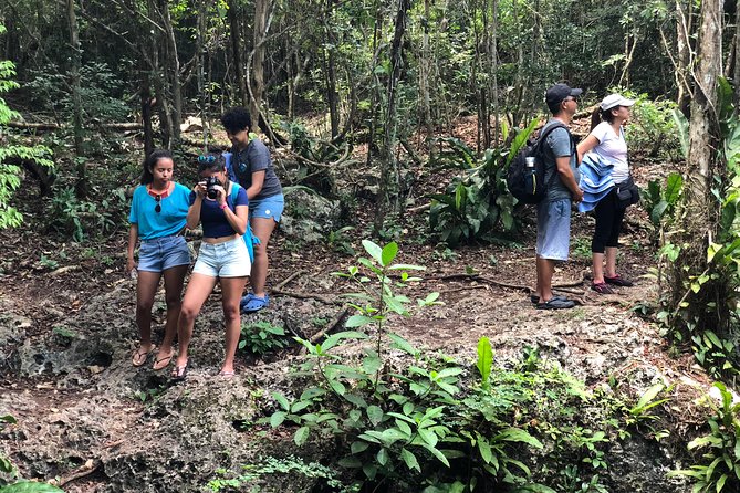 Mayan Jungle Jeep to Amber Caves, Natural Sinkhole and Snorkel - Last Words