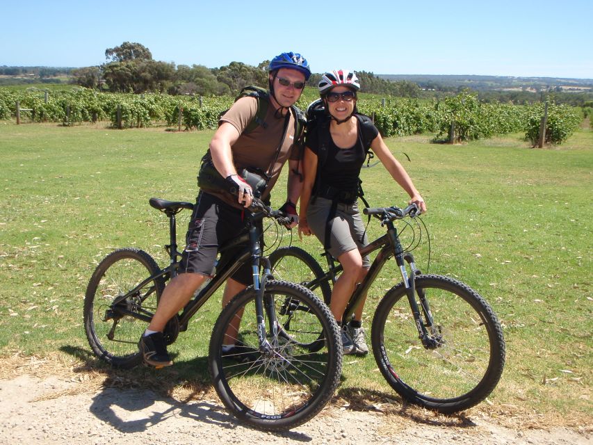 Mclaren Vale Hills Vines and Wines Bike Tour From Adelaide - Common questions