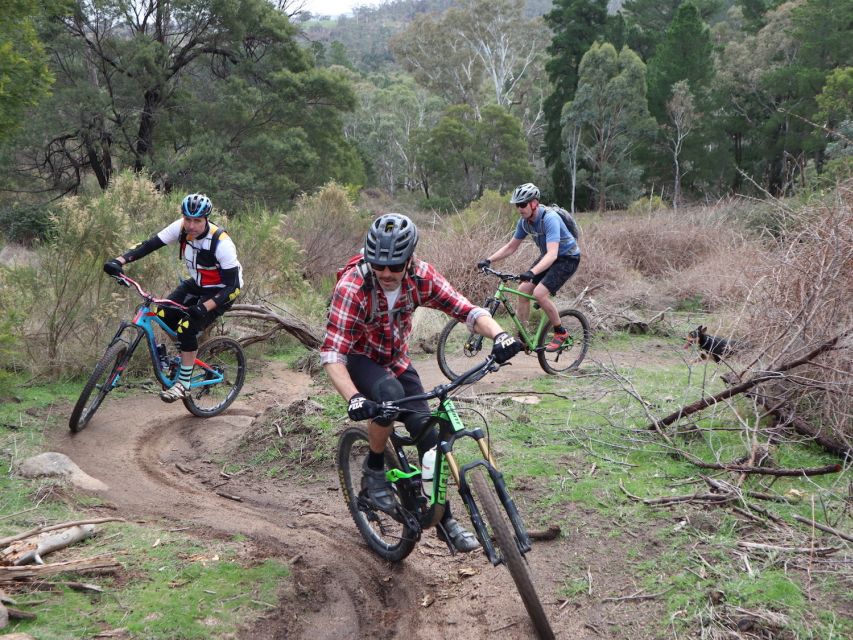 Melbourne: 1-Day Mountain Biking Adventure With Lunch - Common questions