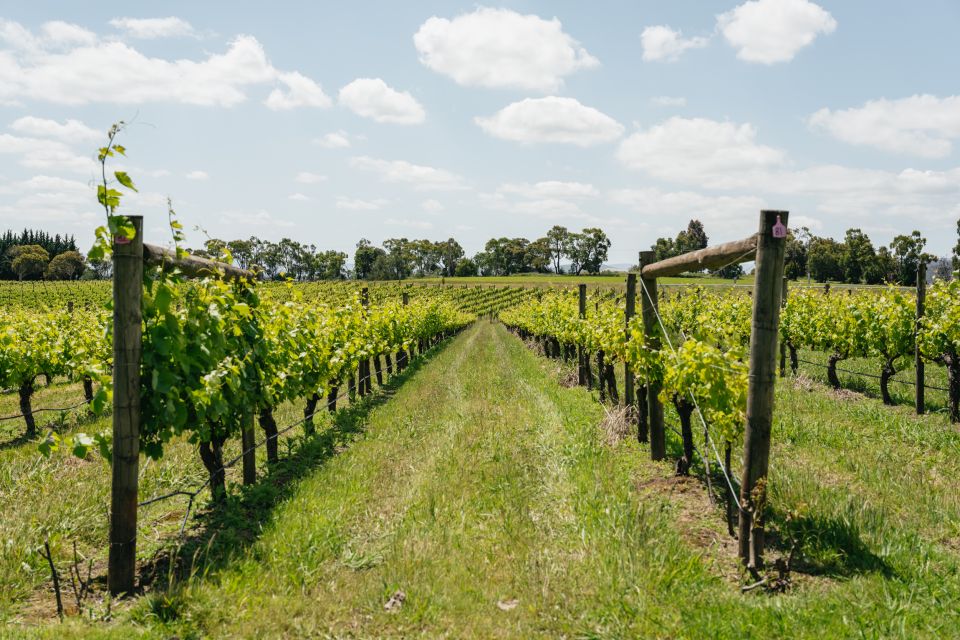 Melbourne: Full-Day Yarra Valley Wine Experience With Lunch - Common questions