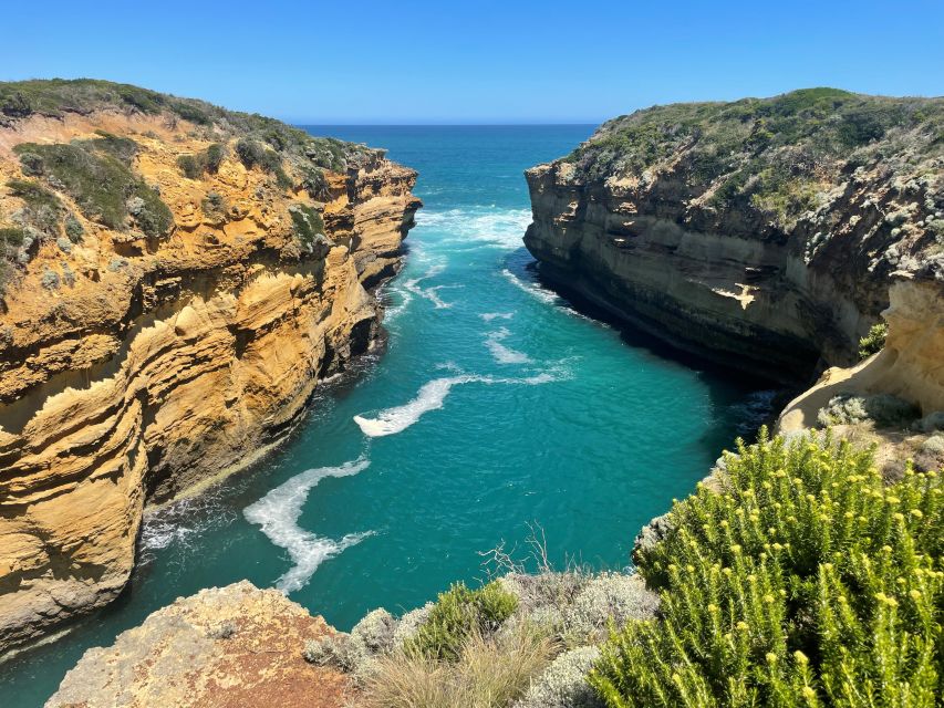 Melbourne: Great Ocean Road Day Trip With Rainforest Visit - Booking and Contact Information